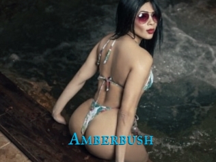 Amberbush