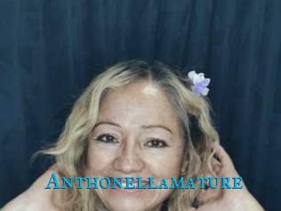 Anthonellamature