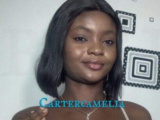 Cartercamelia