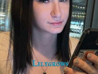 Lilygrows