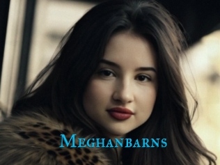 Meghanbarns
