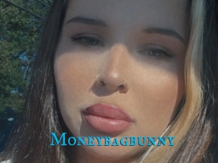 Moneybagbunny