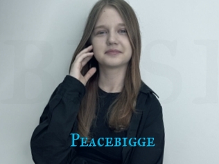 Peacebigge