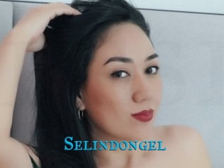 Selindongel