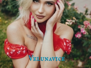 Velunavice